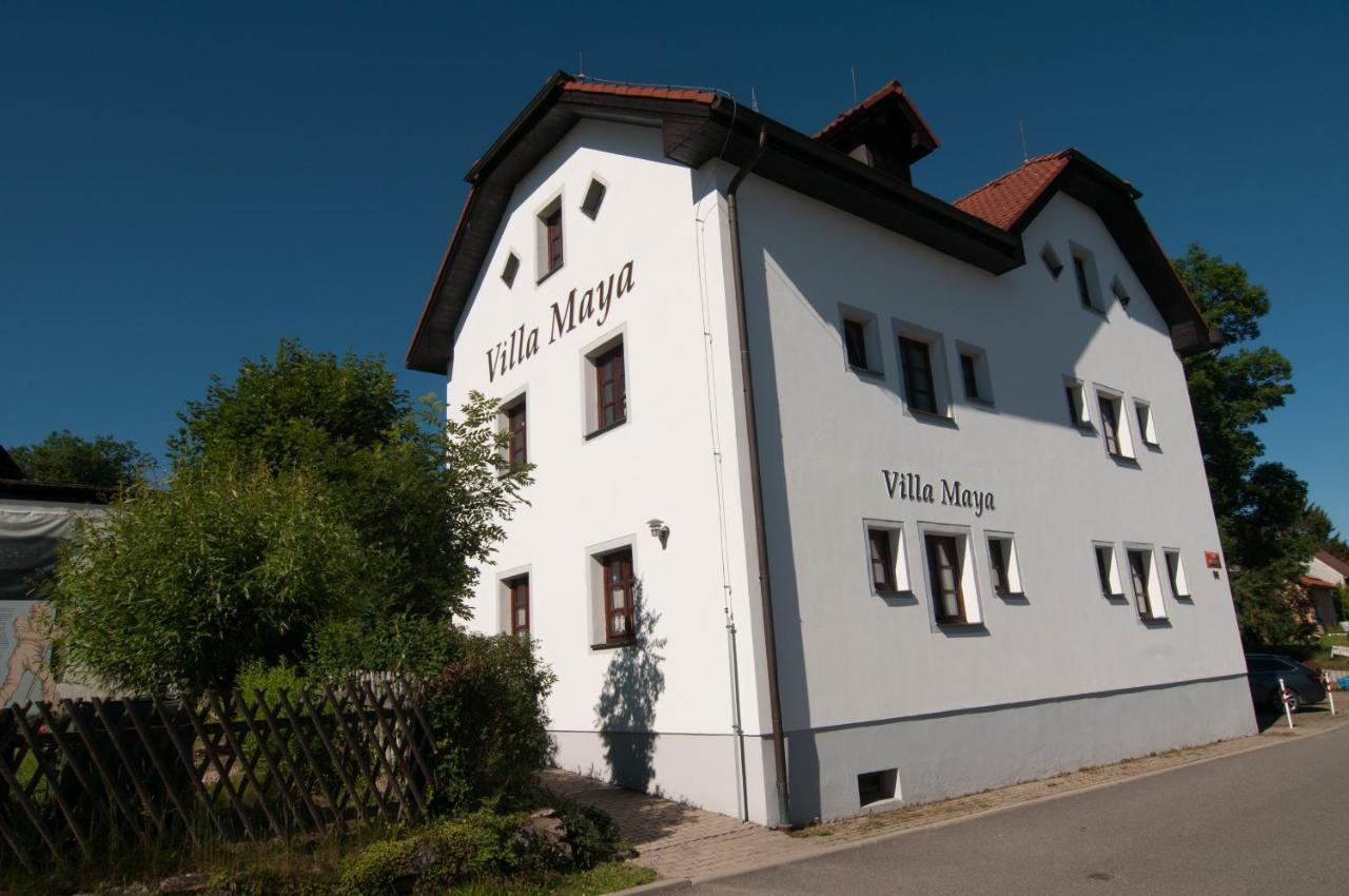 Villa Maya Horní Planá Екстериор снимка